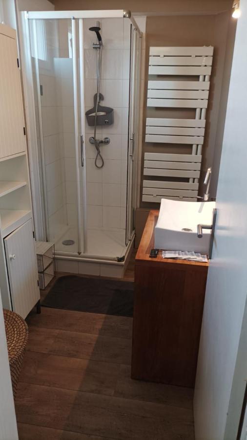 Le Bleu Roi - Appartement Calme Proche De La Gare ก็อง ภายนอก รูปภาพ