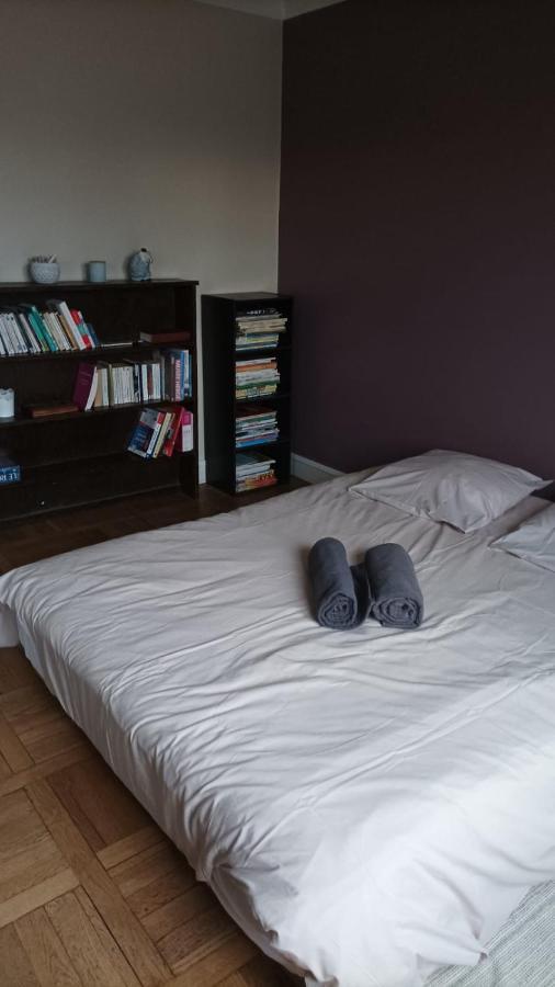 Le Bleu Roi - Appartement Calme Proche De La Gare ก็อง ภายนอก รูปภาพ